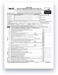 Form 990 Series